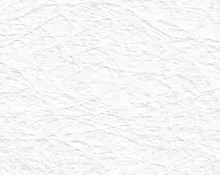 detail kleur Bijzonder wit