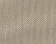 detail kleur Mosbruin