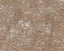 detail kleur Roodbruin geweven