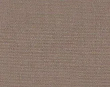 detail kleur Lichte walnoot