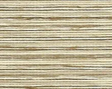detail kleur Lichte iep