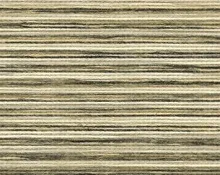 detail kleur Donkere iep