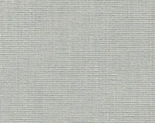 detail kleur Neushoorn