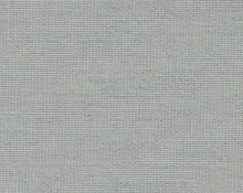 detail kleur Grey seal