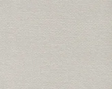 detail kleur Amerikaans zilver