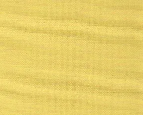 detail kleur Hommelgeel