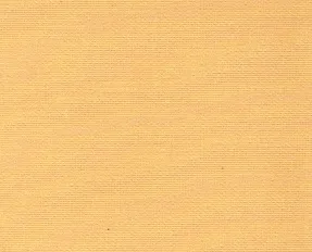 detail kleur Abrikoos