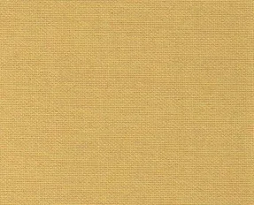 detail kleur Amber
