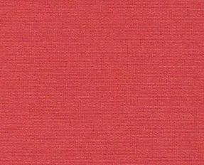 detail kleur Appel