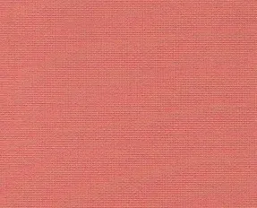 detail kleur Punch