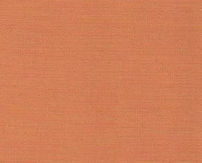 detail kleur Lichte pompoen