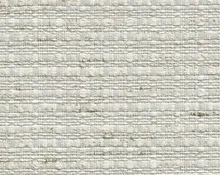 detail kleur Schelp