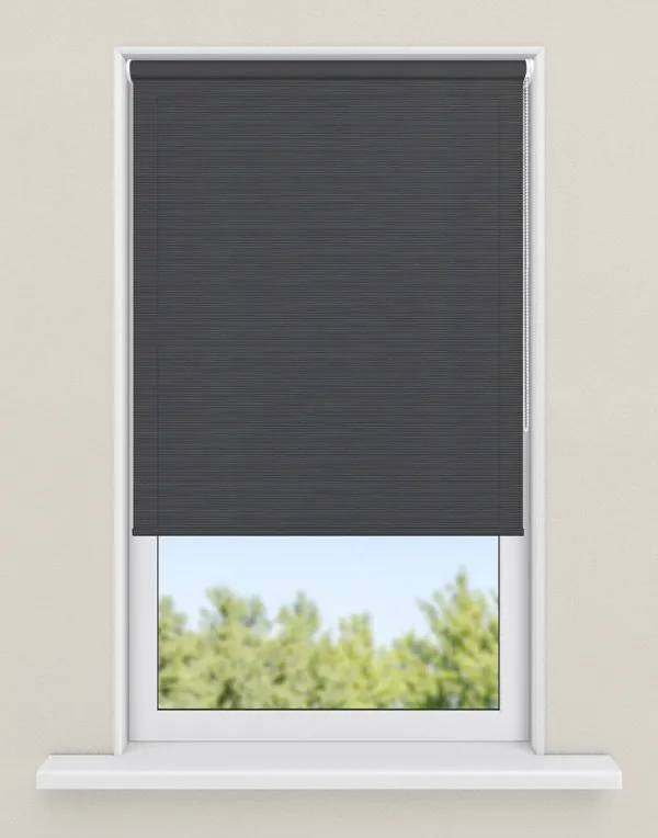 rolgordijnen zwart - kleur Striped black, transparant